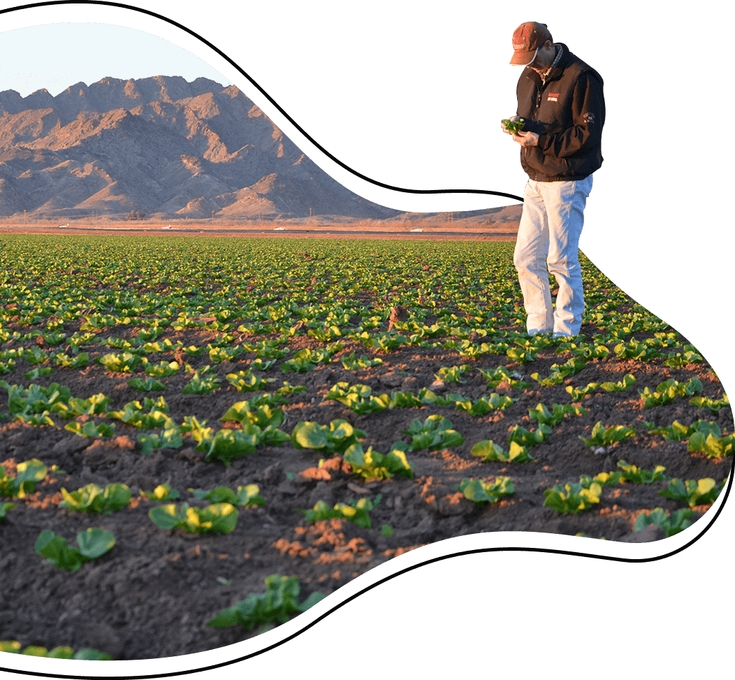 Yuma Area Agricultural Council